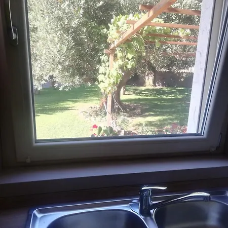 Tenuta Camilli *
